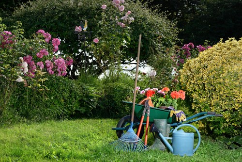 Stump grinding equipment working in an Islington garden