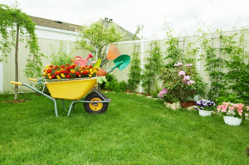 Tree surgeons pricing discussion for Islington garden work