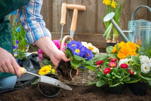 Safe bank transfer and card payment options for tree surgery