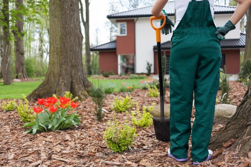 Keyboard navigation and clear headings for Islington tree surgery information