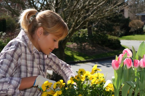Sustainable tree care and recycling operations in Islington