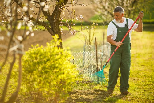Professional tree care work on a residential tree in Islington